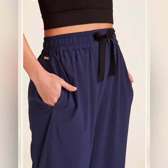 NWT ALALA Commuter Pant Navy s $145 bandier carbon38 - Picture 4 of 10